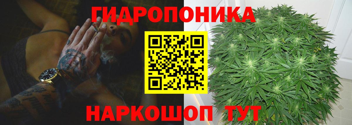 Бошки марихуана сатива  Вход с VPN  Конопля OG Kush  Белореченск  Канабис Amnesia  Бошки Шишки MAZAR 